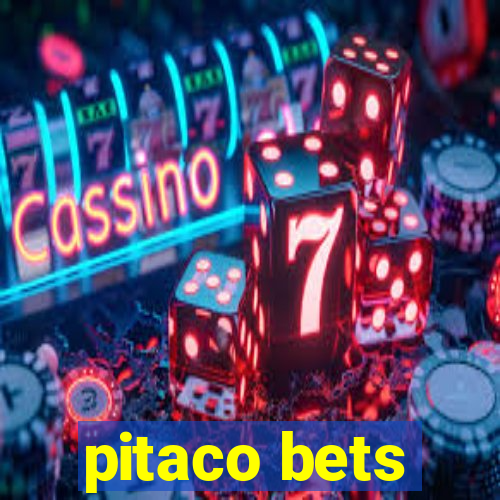 pitaco bets